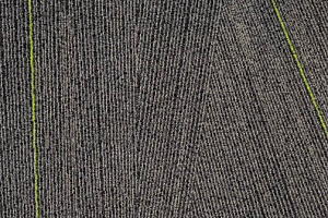 Ковровая плитка Milliken Facet fca 141-79 Anthracite Lime фото  | FLOORDEALER